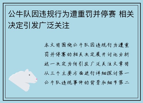 公牛队因违规行为遭重罚并停赛 相关决定引发广泛关注